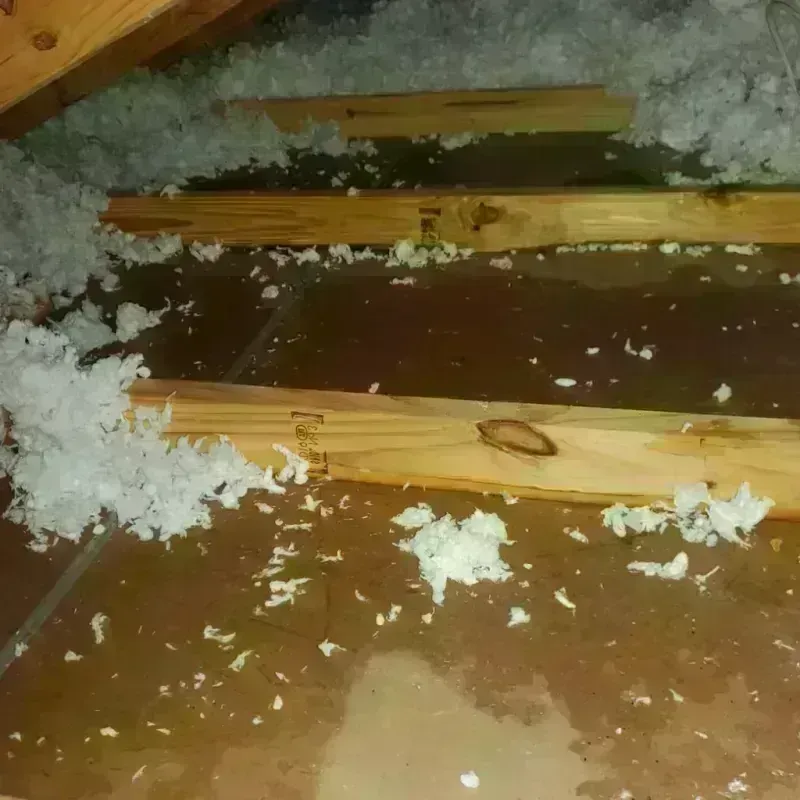 Attic Water Damage in Piru, CA