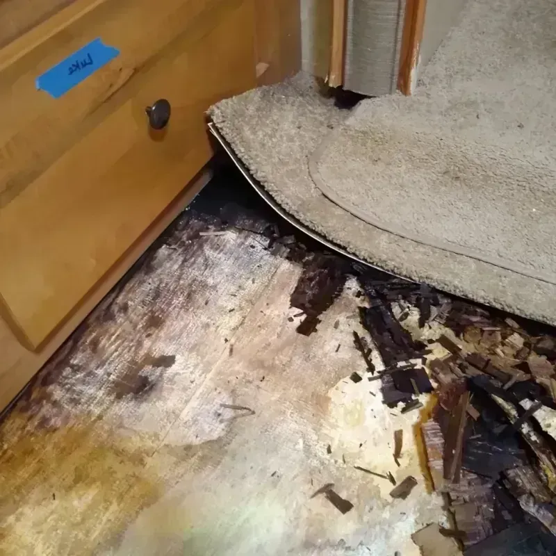 Best Wood Floor Water Damage Service in Piru, CA